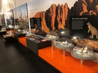 Gimmick Australian Museum